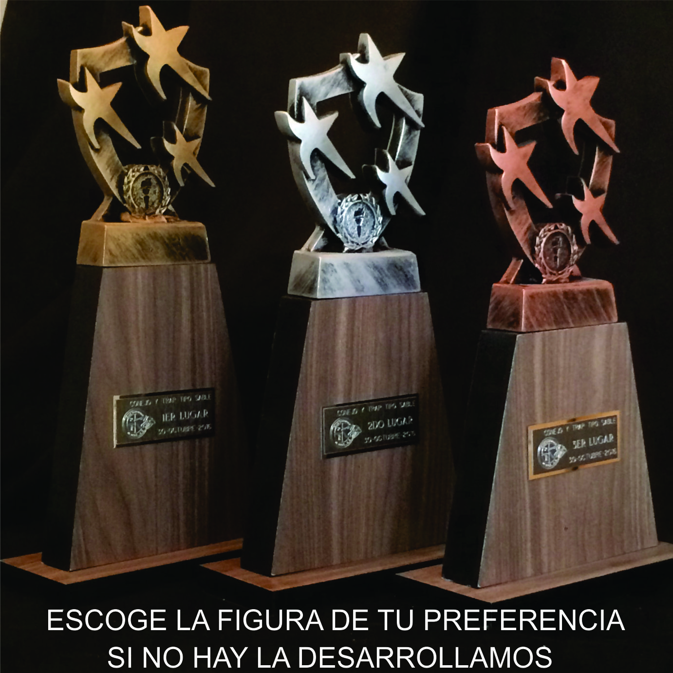 EL MEJOR TROFEO DEL 2018